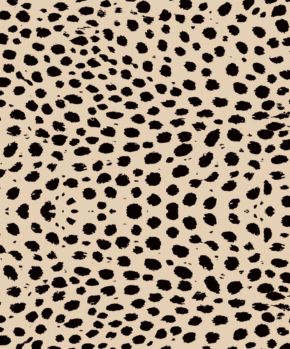 Best Pirce ๐ Trend Blossoms Black Angel-Sleeve Top & Light Tan Cheetah Wrap ๐ Skirt - ๐ง Girls ๐ 5 Best Pirce ๐ Trend Blossoms Black Angel-Sleeve Top & Light Tan Cheetah Wrap ๐ Skirt - ๐ง Girls ๐ - Image 3